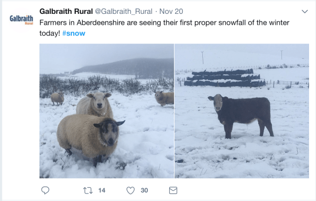 Screen Shot 2017-11-24 at 11.10.47